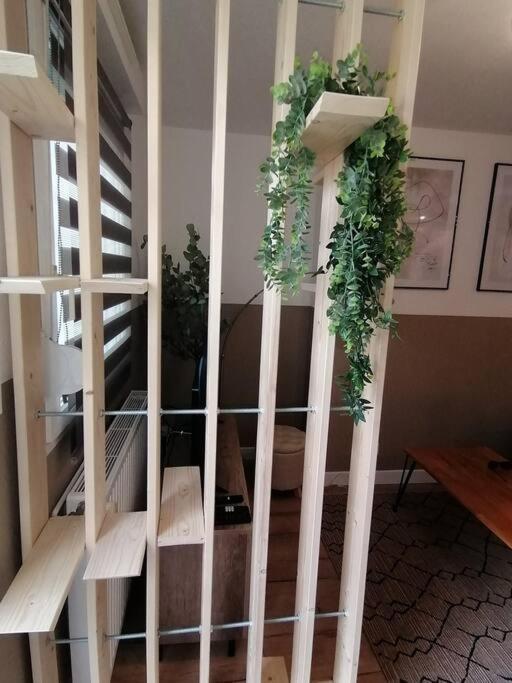 Apartament L'Elegant Avec Garage, Proche Axone, Stellantis Audincourt Zewnętrze zdjęcie